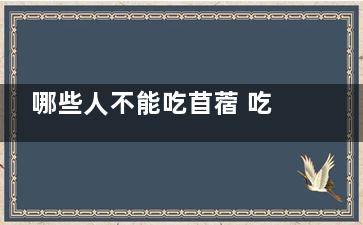 哪些人不能吃苜蓿 吃苜蓿有什么好处(哪些人不能吃苜蓿)